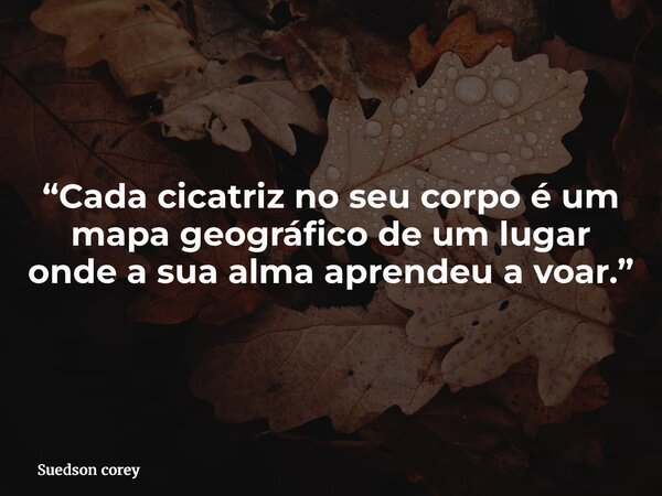 “Cada cicatriz no seu corpo é um mapa geográfico de um lugar onde a sua alma aprendeu a voar.”... Frase de Suedson corey.