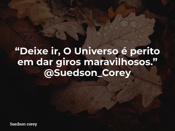 “Deixe ir, O Universo é perito em dar giros maravilhosos.” @Suedson_Corey... Frase de Suedson corey.