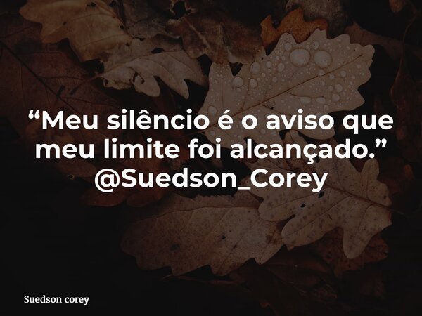 “Meu silêncio é o aviso que meu limite foi alcançado.” @Suedson_Corey... Frase de Suedson corey.