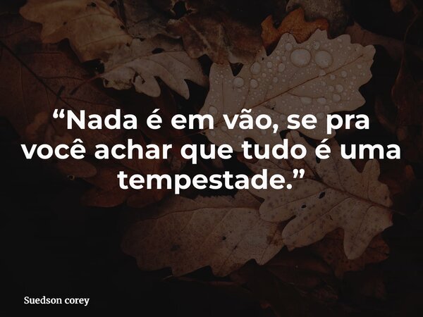 “Nada é em vão, se pra você achar que tudo é uma tempestade.”... Frase de Suedson corey.