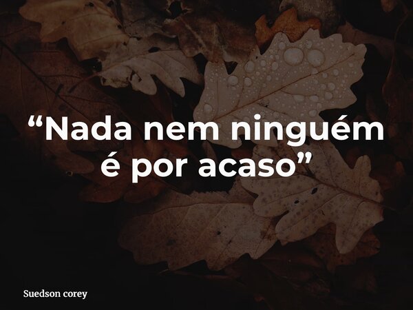 “Nada nem ninguém é por acaso”... Frase de Suedson corey.