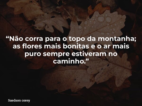 “Não corra para o topo da montanha; as flores mais bonitas e o ar mais puro sempre estiveram no caminho.”... Frase de Suedson corey.