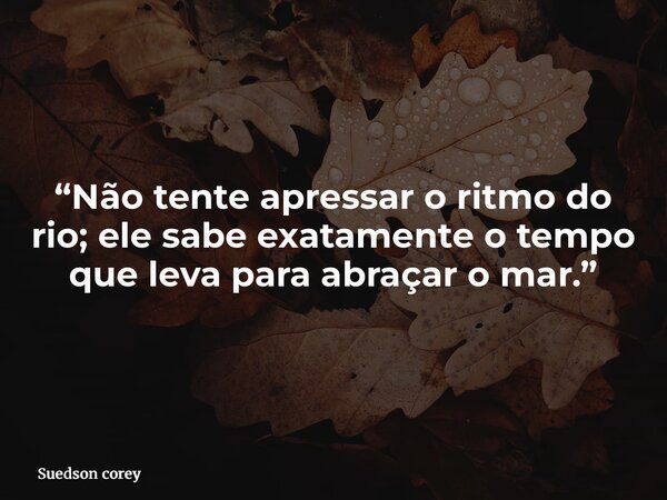 “Não tente apressar o ritmo do rio; ele sabe exatamente o tempo que leva para abraçar o mar.”... Frase de Suedson corey.