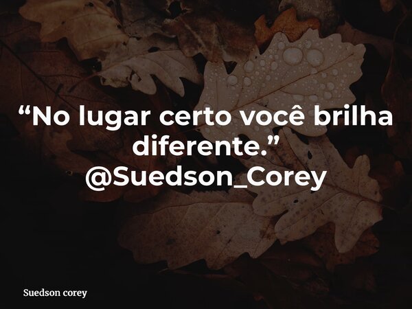 “No lugar certo você brilha diferente.” @Suedson_Corey... Frase de Suedson corey.