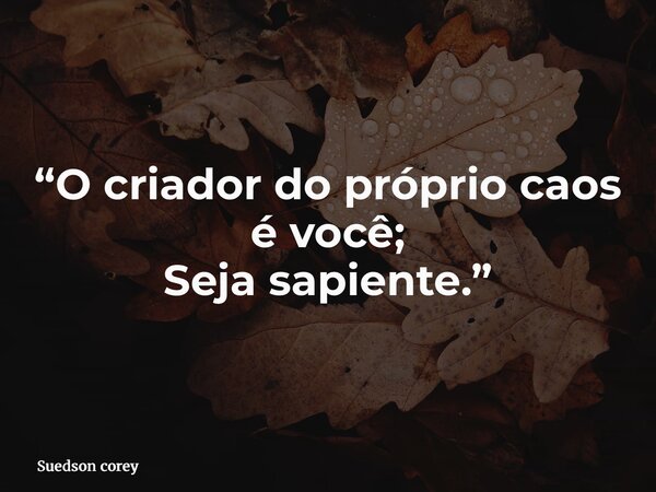 “O criador do próprio caos é você; Seja sapiente.”... Frase de Suedson corey.