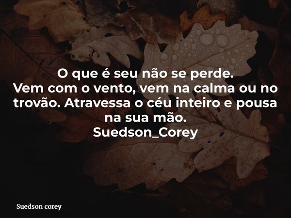 O que é seu não se perde. Vem com o vento, vem na calma ou no trovão. Atravessa o céu inteiro e pousa na sua mão. Suedson_Corey... Frase de Suedson corey.