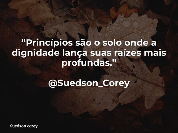 “Princípios são o solo onde a dignidade lança suas raízes mais profundas.” @Suedson_Corey... Frase de Suedson corey.