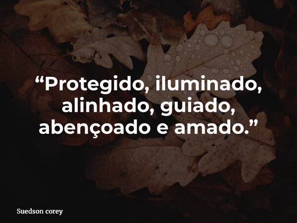 “Protegido, iluminado, alinhado, guiado, abençoado e amado.”... Frase de Suedson corey.