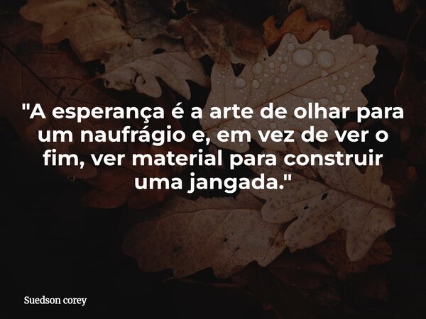 "A esperança é a arte de olhar para um naufrágio e, em vez de ver o fim, ver material para construir uma jangada."... Frase de Suedson corey.