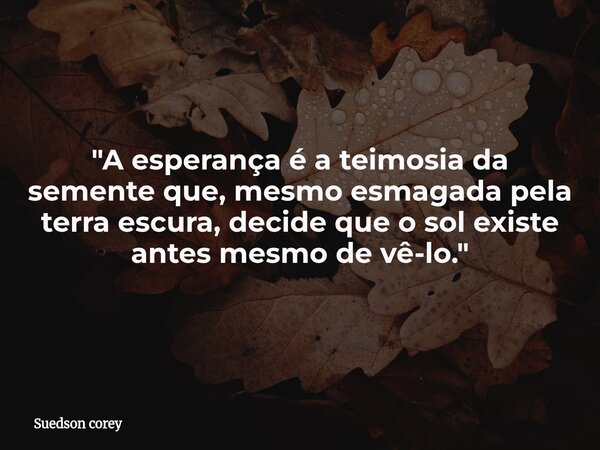 ​"A esperança é a teimosia da semente que, mesmo esmagada pela terra escura, decide que o sol existe antes mesmo de vê-lo."... Frase de Suedson corey.