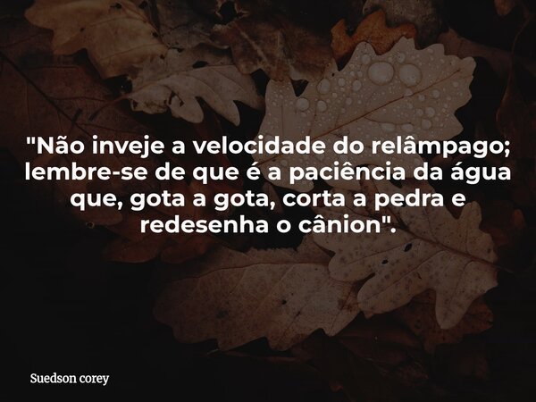 "Não inveje a velocidade do relâmpago; lembre-se de que é a paciência da água que, gota a gota, corta a pedra e redesenha o cânion".... Frase de Suedson corey.