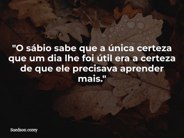 "O sábio sabe que a única certeza que um dia lhe foi útil era a certeza de que ele precisava aprender mais."... Frase de Suedson corey.