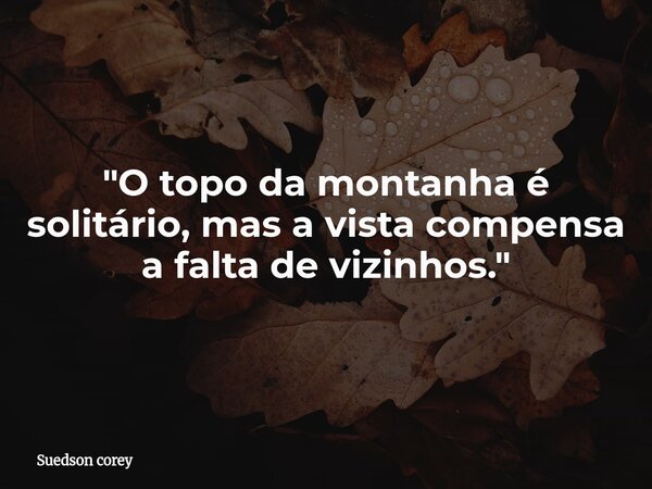 "O topo da montanha é solitário, mas a vista compensa a falta de vizinhos."... Frase de Suedson corey.