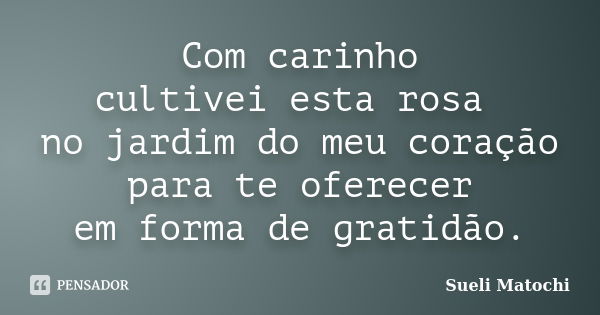 Com carinho cultivei esta rosa no jardim do meu coração para te oferecer em forma de gratidão.... Frase de Sueli Matochi.