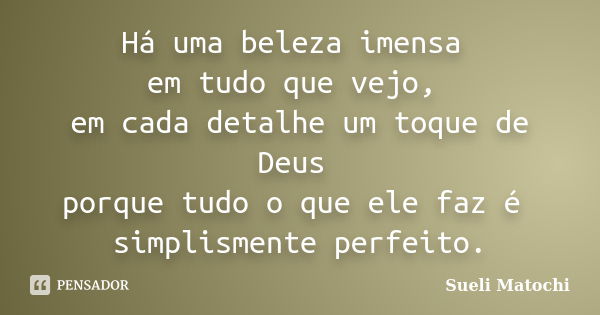 Há uma beleza imensa em tudo que vejo, em cada detalhe um toque de Deus porque tudo o que ele faz é simplismente perfeito.... Frase de Sueli Matochi.