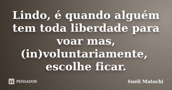 Lindo, é quando alguém tem toda liberdade para voar mas, (in)voluntariamente, escolhe ficar.... Frase de Sueli Matochi.