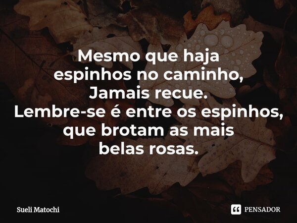 ⁠Mesmo que haja espinhos no caminho, Jamais recue. Lembre-se é entre os espinhos, que brotam as mais belas rosas.... Frase de Sueli Matochi.