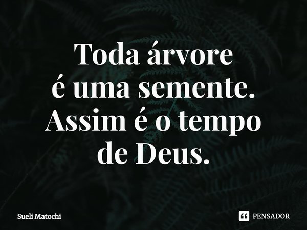 ⁠Toda árvore
é uma semente.
Assim é o tempo
de Deus.... Frase de Sueli Matochi.