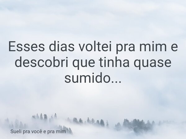 Esses dias voltei pra mim e descobri que tinha quase sumido...... Frase de Sueli pra você e pra mim.