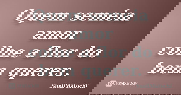 Quem semeia amor colhe a flor do bem querer.... Frase de SueliMatochi.