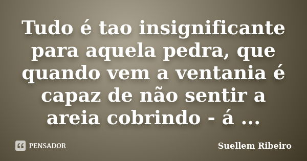 Tudo é tao insignificante para aquela pedra, que quando vem a ventania é capaz de não sentir a areia cobrindo - á ...... Frase de Suellem Ribeiro..