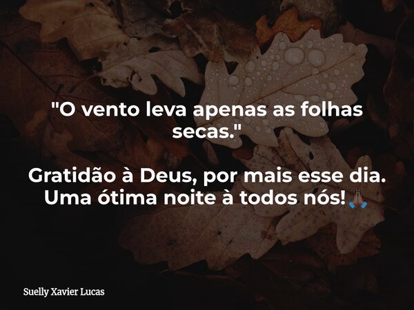 ⁠"O vento leva apenas as folhas secas." Gratidão à Deus, por mais esse dia. Uma ótima noite à todos nós!🙏🏿... Frase de Suelly Xavier Lucas.