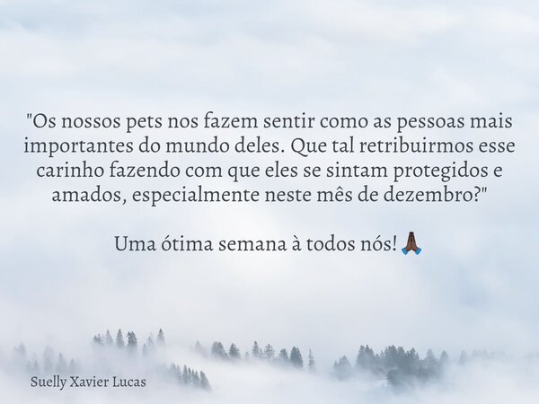 "Os nossos pets nos fazem sentir como as pessoas mais importantes do mundo deles. Que tal retribuirmos esse carinho fazendo com que eles se sintam protegi... Frase de Suelly Xavier Lucas.
