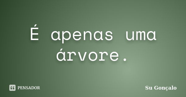 É apenas uma árvore.... Frase de Su Gonçalo.