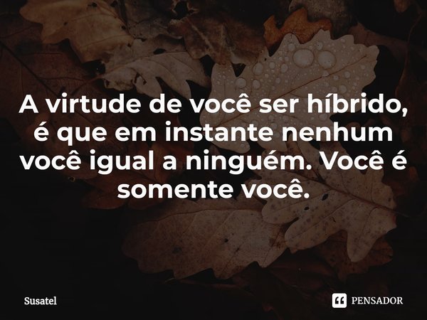 ⁠A virtude de você ser híbrido, é que em instante nenhum você igual a ninguém. Você é somente você.... Frase de Susatel.