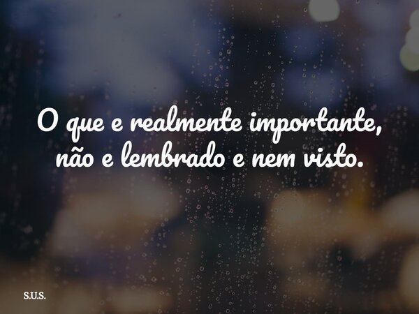 O que e realmente importante, não e lembrado e nem visto.... Frase de S.U.S..
