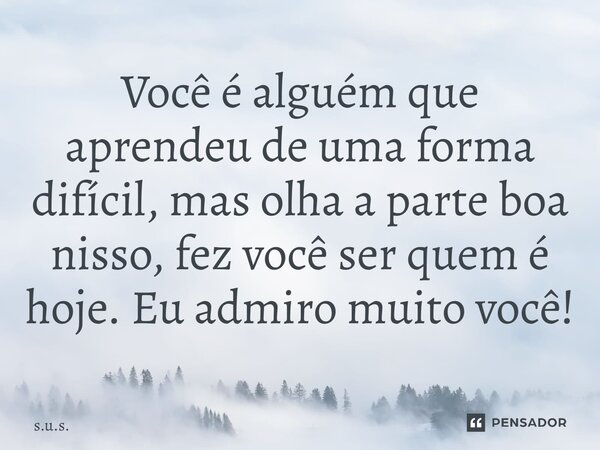 Você é alguém que aprendeu de uma forma difícil, mas olha a parte boa nisso, fez você ser quem é hoje. Eu admiro muito você!... Frase de S.U.S..