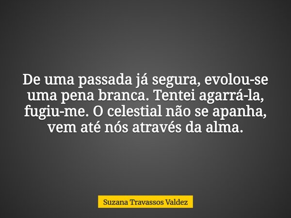 De uma passada já segura, evolou-se uma pena branca. Tentei agarrá-la, fugiu-me. O celestial não se apanha, vem até nós através da alma.... Frase de Suzana Travassos Valdez.