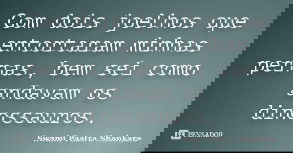 Com dois joelhos que entortaram minhas pernas, bem sei como andavam os dinossauros.... Frase de Swami Paatra Shankara.