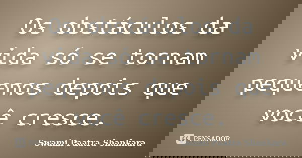 Os obstáculos da vida só se tornam pequenos depois que você cresce.... Frase de Swami Paatra Shankara.