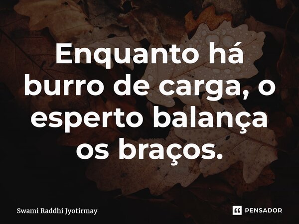 ⁠Enquanto há burro de carga, o esperto balança os braços.... Frase de Swami Raddhi Jyotirmay.