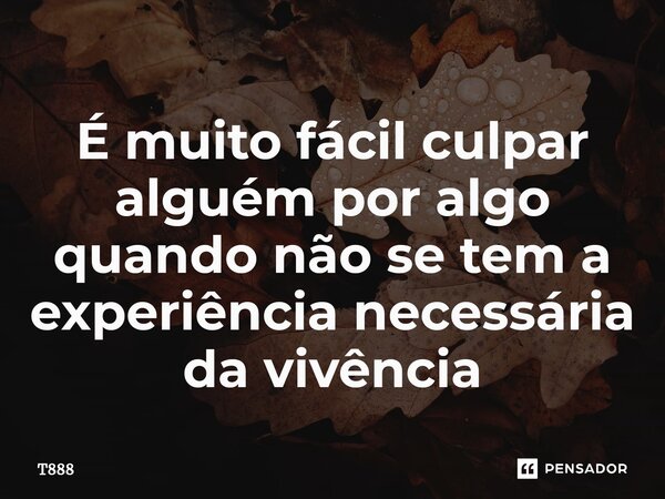 ⁠É muito fácil culpar alguém por algo quando não se tem a experiência necessária da vivência... Frase de T888.