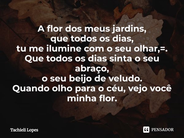 ⁠A flor dos meus jardins,
que todos os dias,
tu me ilumine com o seu olhar,=.
Que todos os dias sinta o seu abraço,
o seu beijo de veludo.
Quando olho para o cé... Frase de Tachieli Lopes.