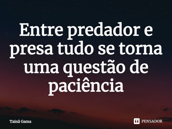⁠Entre predador e presa tudo se torna uma questão de paciência... Frase de Tainã Gama.