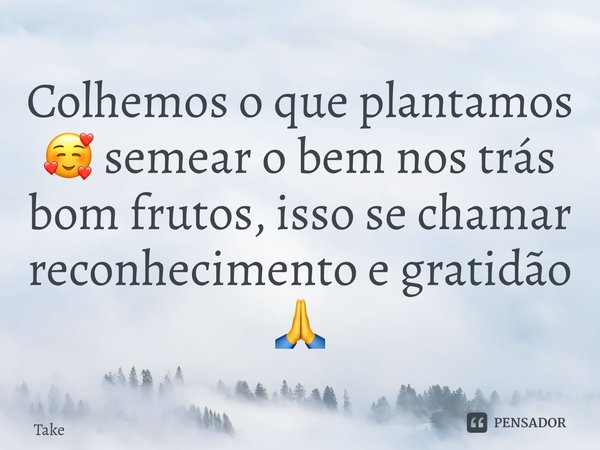 ⁠Colhemos o que plantamos 🥰 semear o bem nos trás bom frutos, isso se chamar reconhecimento e gratidão 🙏... Frase de Takeuchi.