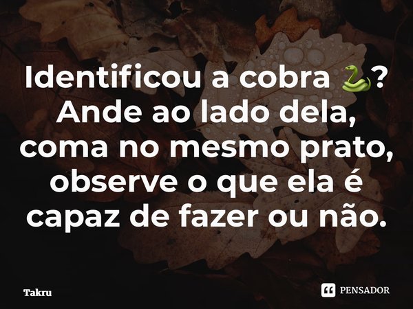 ⁠Identificou a cobra 🐍? Ande ao lado dela, coma no mesmo prato, observe o que ela é capaz de fazer ou não.... Frase de Takeuchi.