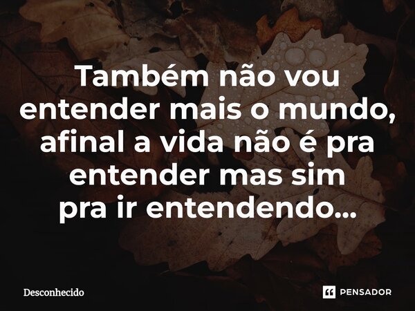 ⁠Também não vou entender mais o mundo, afinal a vida não é pra entender mas sim pra ir entendendo...
