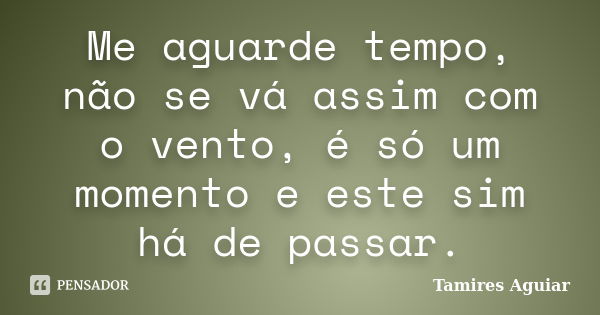 Me aguarde tempo, não se vá assim com o vento, é só um momento e este sim há de passar.... Frase de Tamires Aguiar.