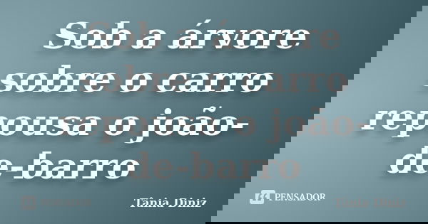 Sob a árvore
sobre o carro
repousa o joão-de-barro... Frase de Tânia Diniz.
