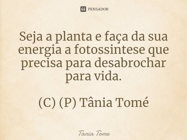 ⁠Seja a planta e faça da sua energia a fotossintese que precisa para desabrochar para vida. (C) (P) Tânia Tomé... Frase de Tania Tome.