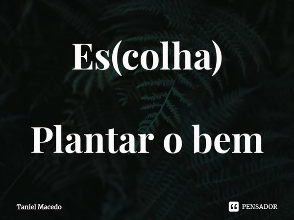 ⁠Es(colha) Plantar o bem... Frase de Taniel Macedo.