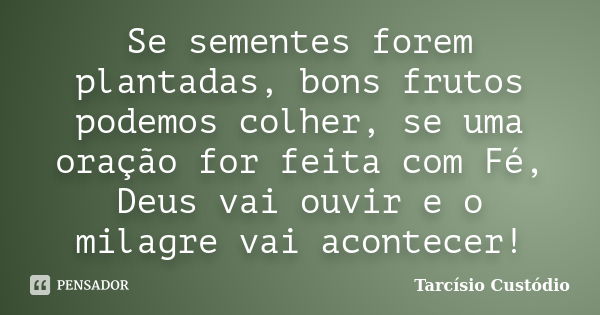 Se sementes forem plantadas, bons frutos podemos colher, se uma oração for feita com Fé, Deus vai ouvir e o milagre vai acontecer!... Frase de Tarcísio Custódio.