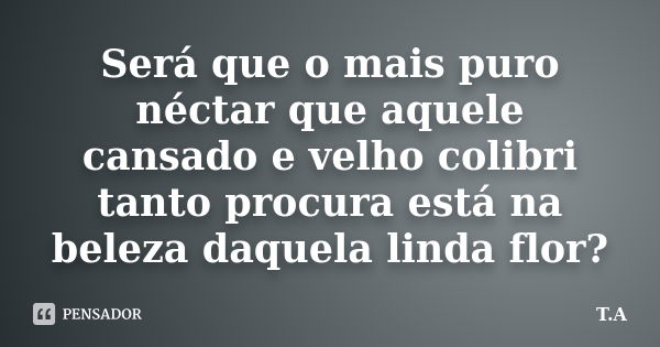 Será que o mais puro néctar que aquele cansado e velho colibri tanto procura está na beleza daquela linda flor?... Frase de T.A.