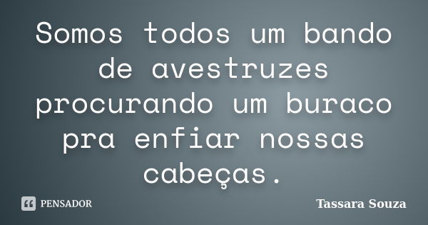 Somos todos um bando de avestruzes procurando um buraco pra enfiar nossas cabeças.... Frase de Tassara Souza.