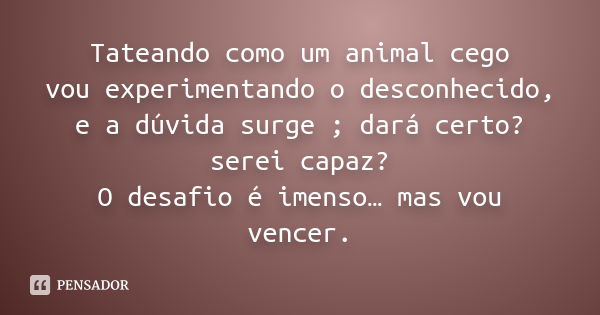 Tateando como um animal cego vou experimentando o desconhecido, e a dúvida surge ; dará certo? serei capaz? O desafio é imenso… mas vou vencer.