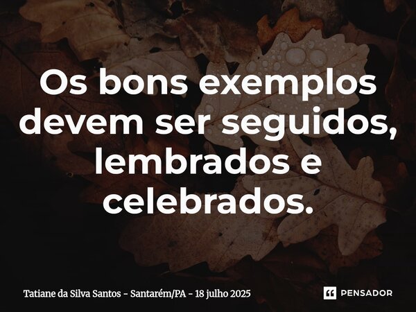 ⁠Os bons exemplos devem ser seguidos, lembrados e celebrados.... Frase de Tatiane da Silva Santos - SantarémPA - 18 julho 2025.